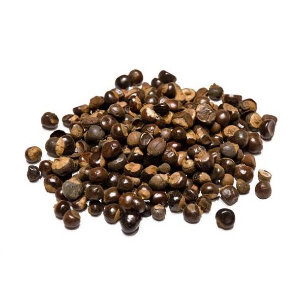 Γκουαράνα καρποί (Guarana) 10γρ