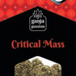 Ganja Critical Mass CBD 2g