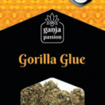 Ganja Passion gorilla glue CBD 1g