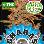 Charas Chocolope CBD 2+1g