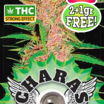 Charas Gelato CBD 2+1g
