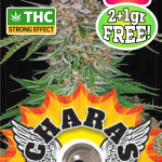 Charas Black Jack CBD 2+1g