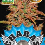 Charas Chocolope CBD 1g