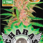 Charas Gelato CBD 1g